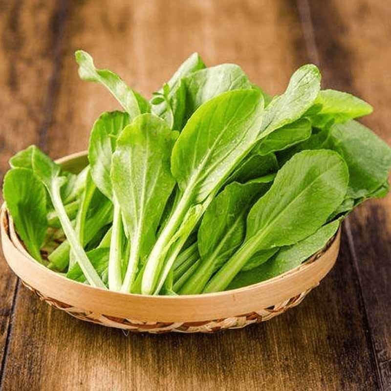 南京食材批发